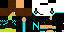 Texture for shap