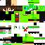 Texture for Turtle