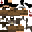 Texture for joel