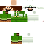 Texture for Luigi