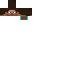 Texture for h