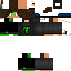 Texture for sasasa