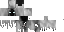 Texture for Ghost