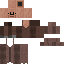 Texture for dirp_final