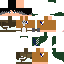 Texture for rivai