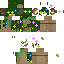 Texture for Açucena