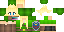 Texture for Link