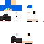 Texture for BlueDragonF8