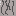 Texture for Райский дуб