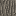 Texture for full tree