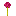 Texture for allium