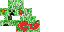 Texture for assino