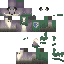 Texture for Gasty zorro