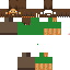 Texture for Microchip