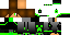 Texture for hg
