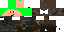 Texture for Assassin