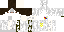 Texture for Snipe Snow