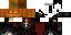 Texture for ss