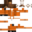 Texture for 244