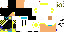 Texture for Apollo