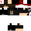 Texture for LinkHG