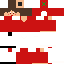 Texture for マイクラスキン