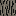 Texture for atlas