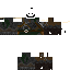Texture for ds
