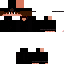 Texture for sdx