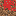 Texture for Test