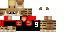 Texture for McTigerDe