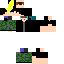 Texture for Windy