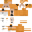 Texture for sd