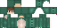 Texture for dino