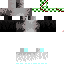 Texture for Polar