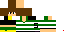 Texture for sequeira5
