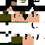 Texture for Luccaus