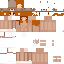 Texture for Otter