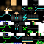Texture for steve