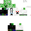 Texture for manuca craft 