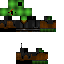 Texture for trtle