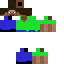 Texture for Steve