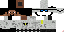Texture for C2 recon force