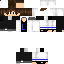Texture for Steve