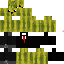 Texture for Melon