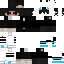Texture for SKIN JAVA L