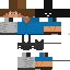 Texture for Phoenix