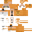 Texture for FoxyDashy