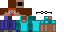 Texture for outlined steve