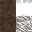 Texture for grass
